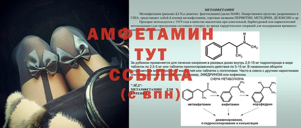 сатива Липки