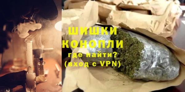 индика Ладушкин