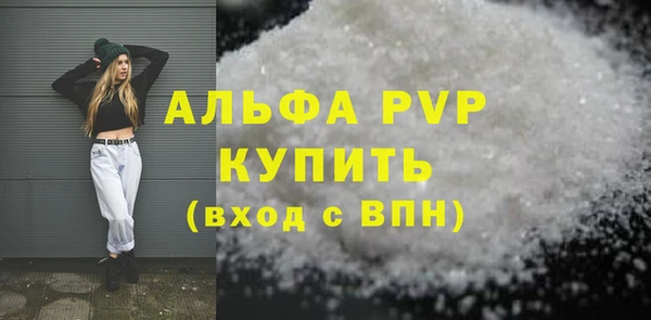 индика Ладушкин