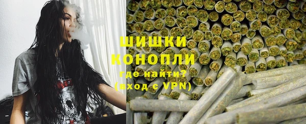 сатива Липки
