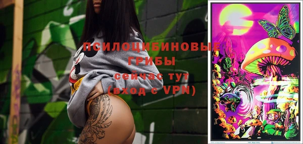 индика Ладушкин