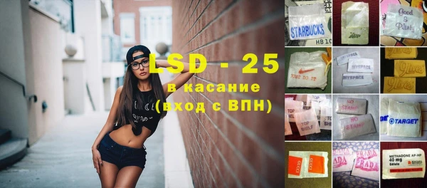индика Ладушкин