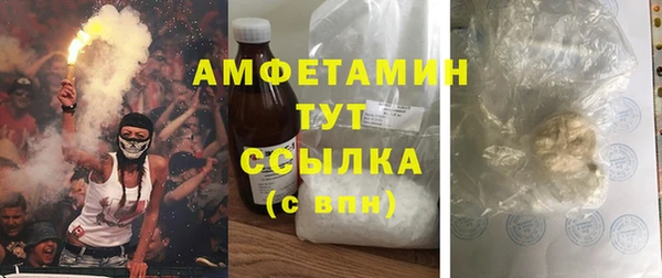 сатива Липки