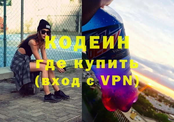 индика Ладушкин