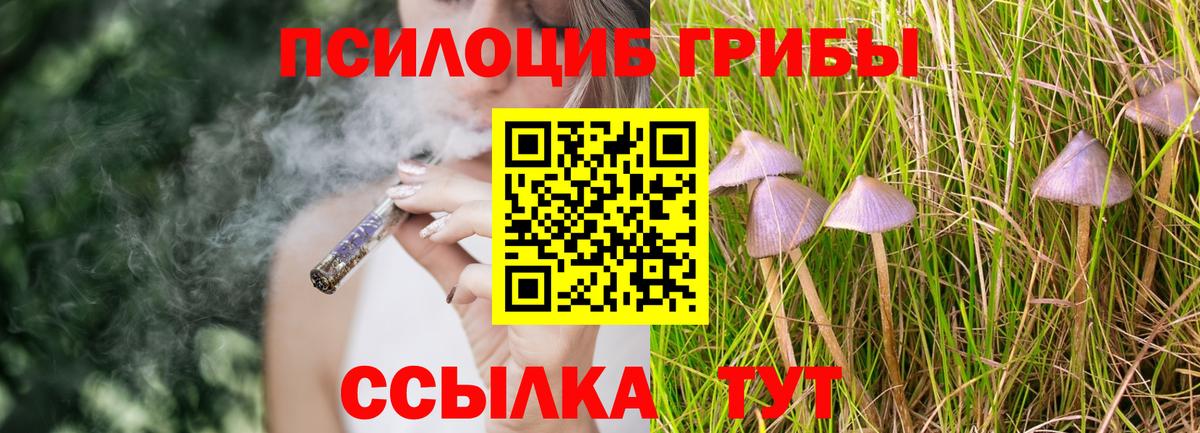 Галлюциногенные грибы Magic Shrooms  Псилоцибиновые грибы Psilocybine cubensis  купить наркотик  Краснокамск  Вход с VPN 