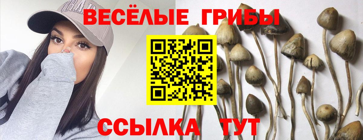 Галлюциногенные грибы MAGIC MUSHROOMS Краснокамск