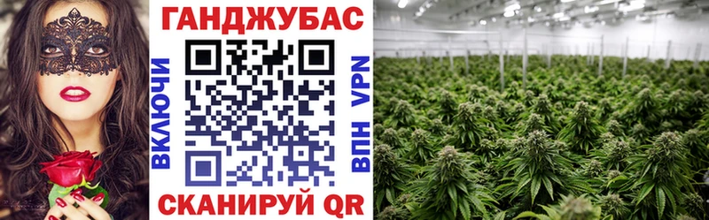 Бошки марихуана планчик  купить наркоту  Краснокамск 